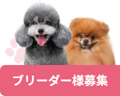ブリーダー様募集
