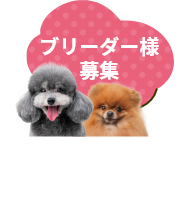 ブリーダー様募集