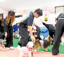 ドッグダンス実習