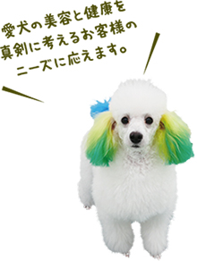 愛犬の美容と健康を真剣に考えるお客さまのニーズに応えます。