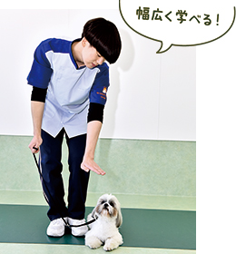 幅広く学べる！