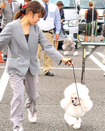 ショースタート