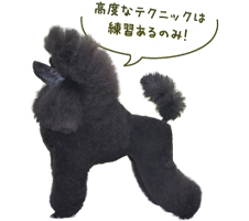 高度なテクニックは練習あるのみ！