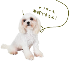 トリマーも取得できるよ！