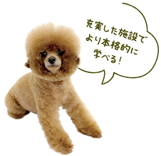 充実した施設でより本格的に学べる！