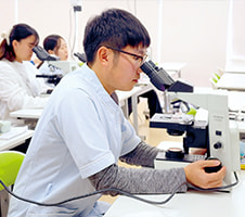 顕微鏡検査