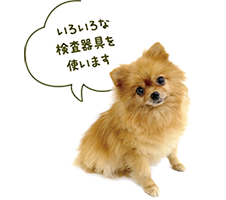 いろいろな検査器具を使います