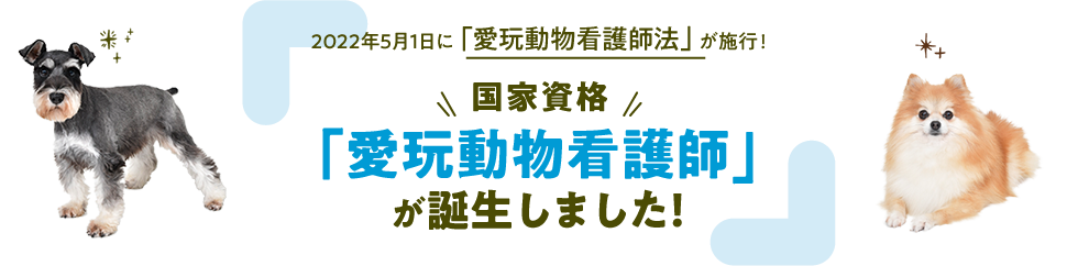 2022年5月1日に「愛玩動物看護師法」が施行！国家資格「愛玩動物看護師」が誕生しました！
