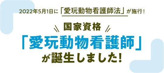 2022年5月1日に「愛玩動物看護師法」が施行！国家資格「愛玩動物看護師」が誕生しました！