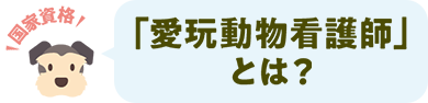 愛玩動物看護師とは？