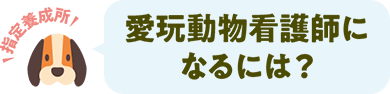 愛玩動物看護師になるには？