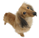 ブリタニアちゃん