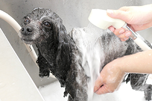 炭酸泉シャンプーマシーン