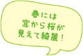 春には窓から桜が見えて綺麗！