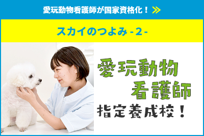 愛玩動物看護師 指定養成校！
