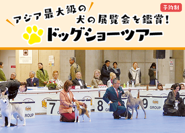 ドッグショーツアー