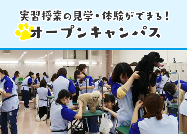 オープンキャンパス