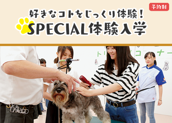 SPECIAL体験入学