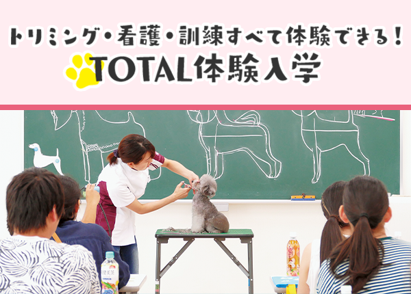 TOTAL体験入学