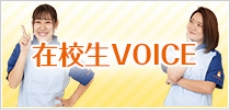 在校生VOICE
