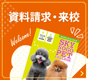 資料請求・来校