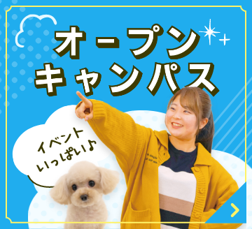 イベントいっぱい♪オープンキャンパス