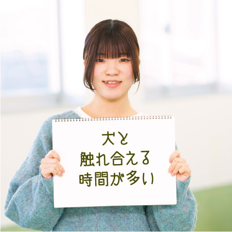 犬と触れ合える時間が多い