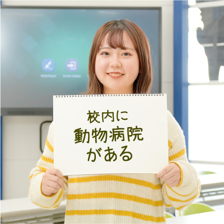 校内に動物病院がある