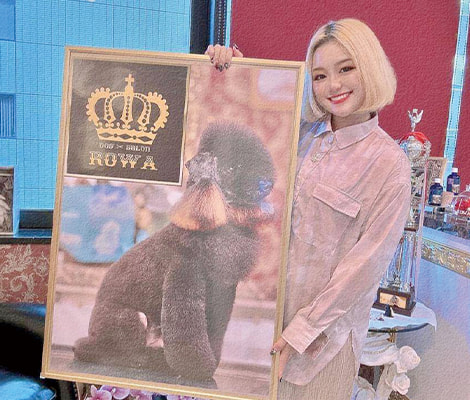 Dog salon ROWA