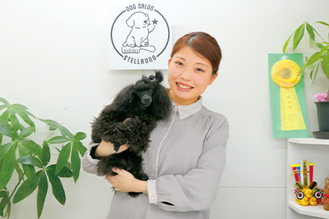 ドッグサロン ステラーノ