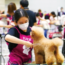 トリミング競技大会