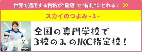 全国の専門学校で3校のみのJKC指定校！