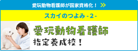 愛玩動物看護師指定養成校！