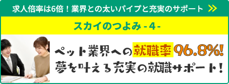 ペット業界への就職率96.8%！夢を叶える充実の就職サポート！