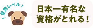 世界レベル！日本一有名な資格がとれる！