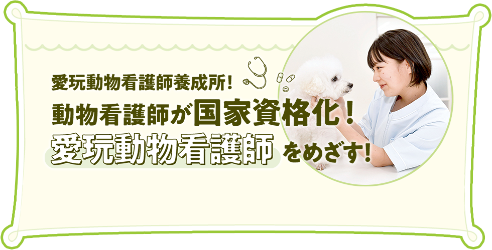 愛玩動物看護師養成所！動物看護師が国家資格化！「愛玩動物看護師」をめざす！