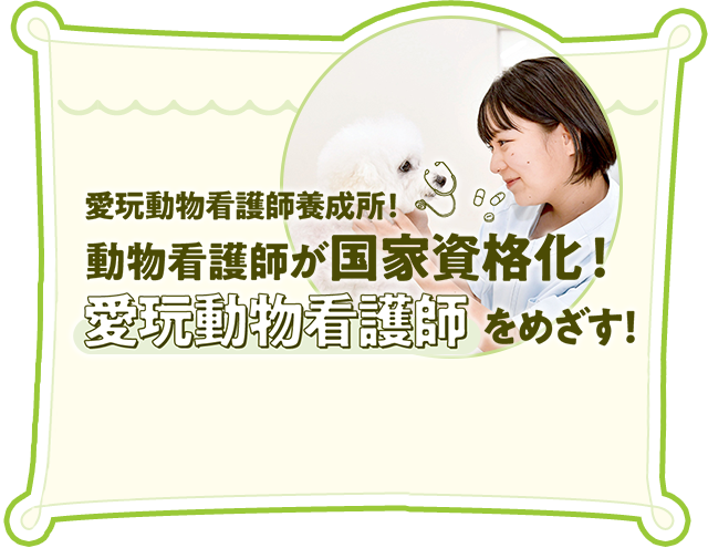 愛玩動物看護師養成所！動物看護師が国家資格化！「愛玩動物看護師」をめざす！