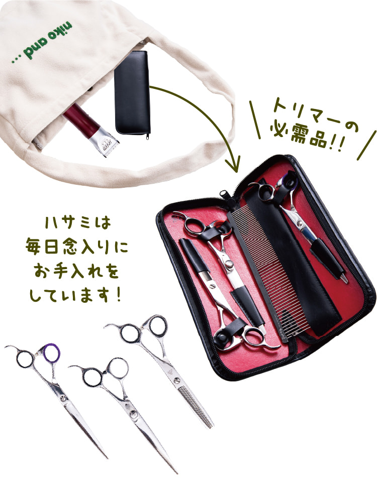 トリマーの必需品！！ハサミは毎日念入りにお手入れをしています！