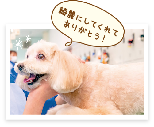 綺麗にしてくれてありがとう！